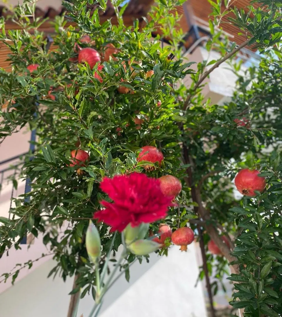 Vila Haznedari-City Center ベラト